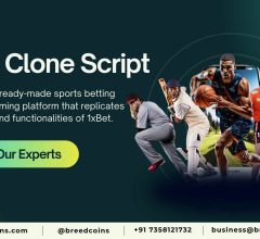 1xBet Clone Script