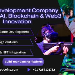Game Development Company